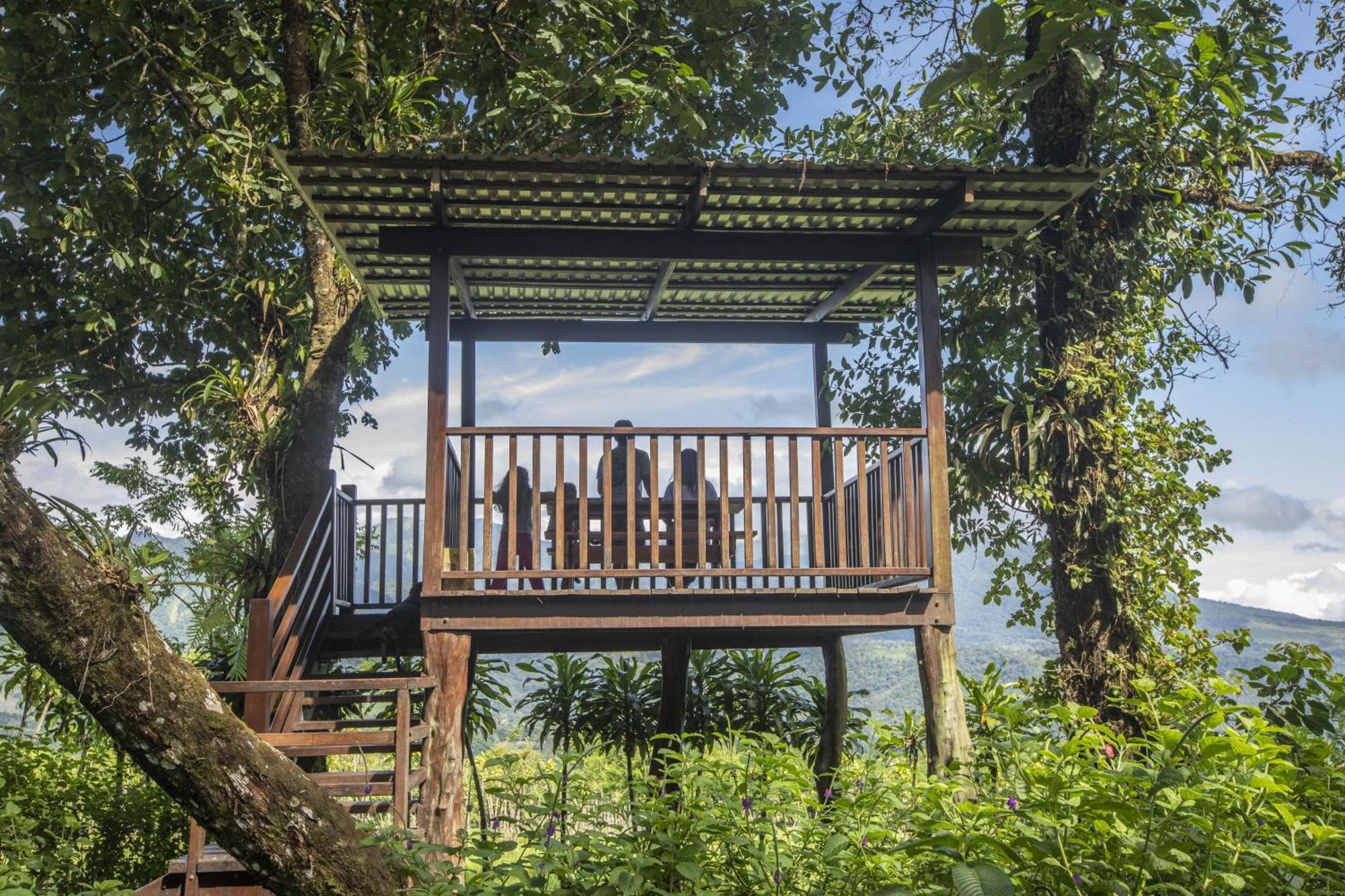 "Hana'S Celeste Retreat" Large Modern Villa Sleeps 6 On 20 Acres Of Nature! Bijagua Exterior foto